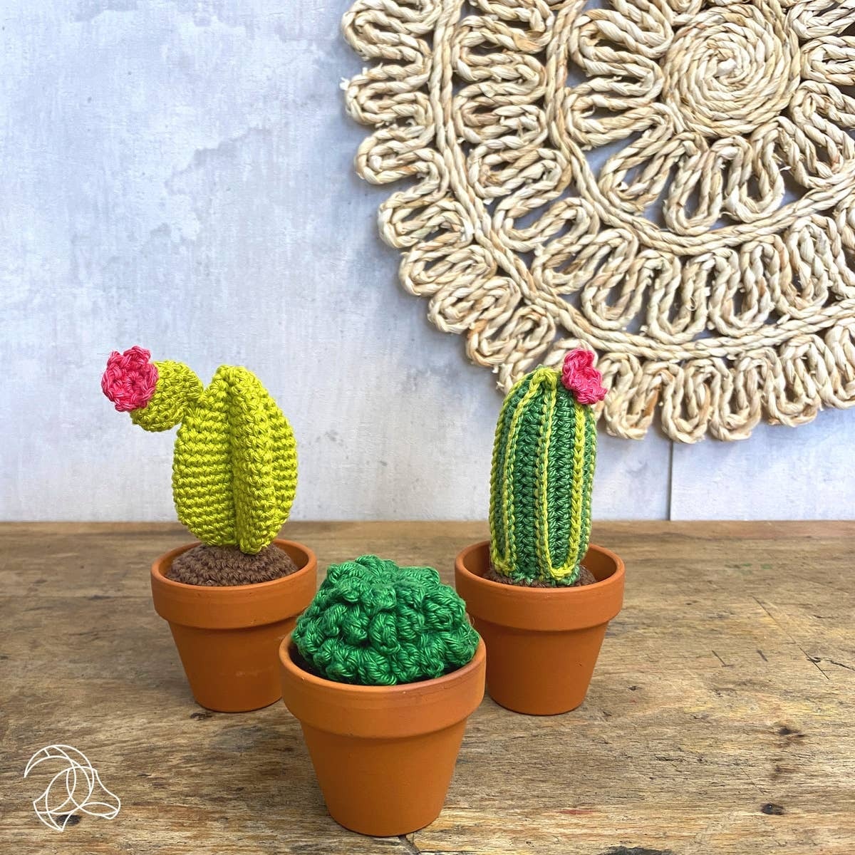 Hardicraft DIY Crochet Kit Cacti Yarningtown LLC